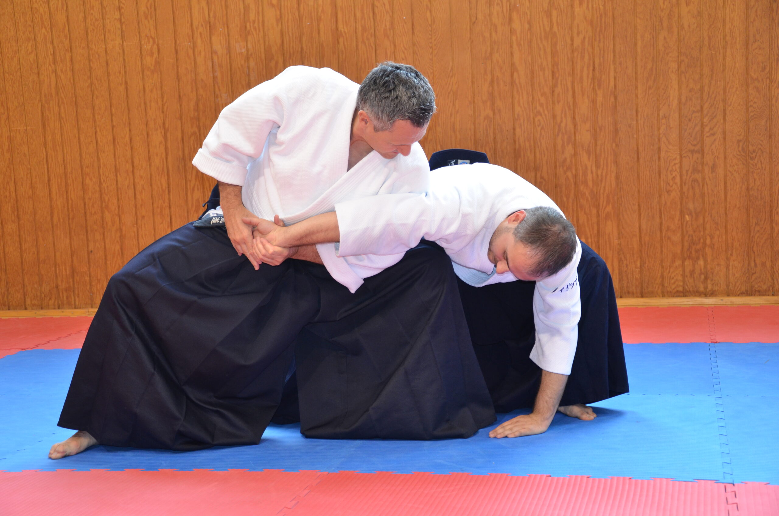 Technique d'aïkido